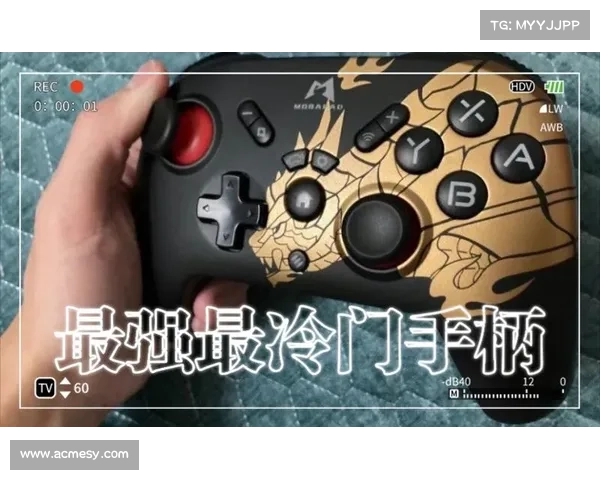 魔兽世界怀旧服猎人：手柄玩法大揭秘